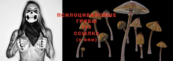 PSILOCYBIN Беломорск