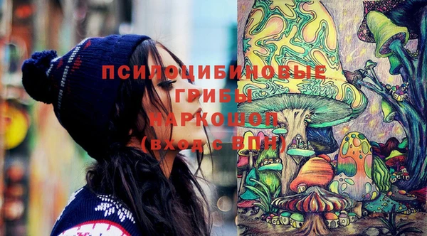 PSILOCYBIN Беломорск