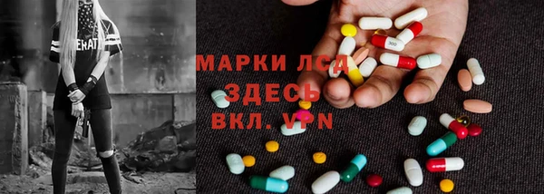 прущие грибы Балашиха