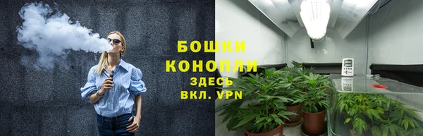 PSILOCYBIN Беломорск