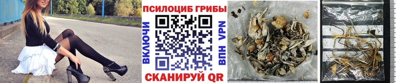 Псилоцибиновые грибы GOLDEN TEACHER  как найти   Горно-Алтайск 